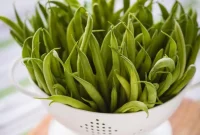 Mastering Green Bean Blanching