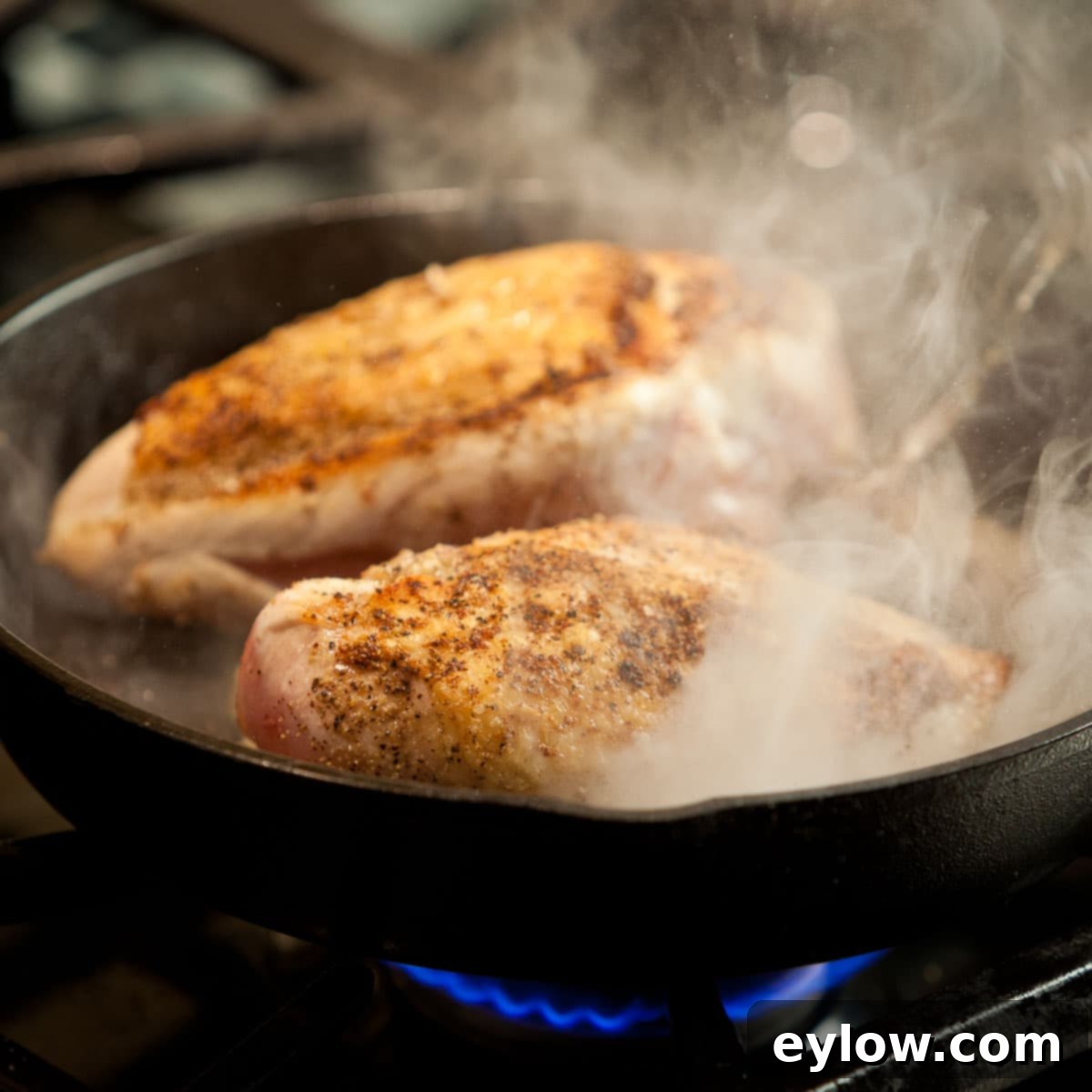 Roast Chicken -4957 Searing chicken breast on the stovetop for golden, crispy skin in a cast iron skillet.
