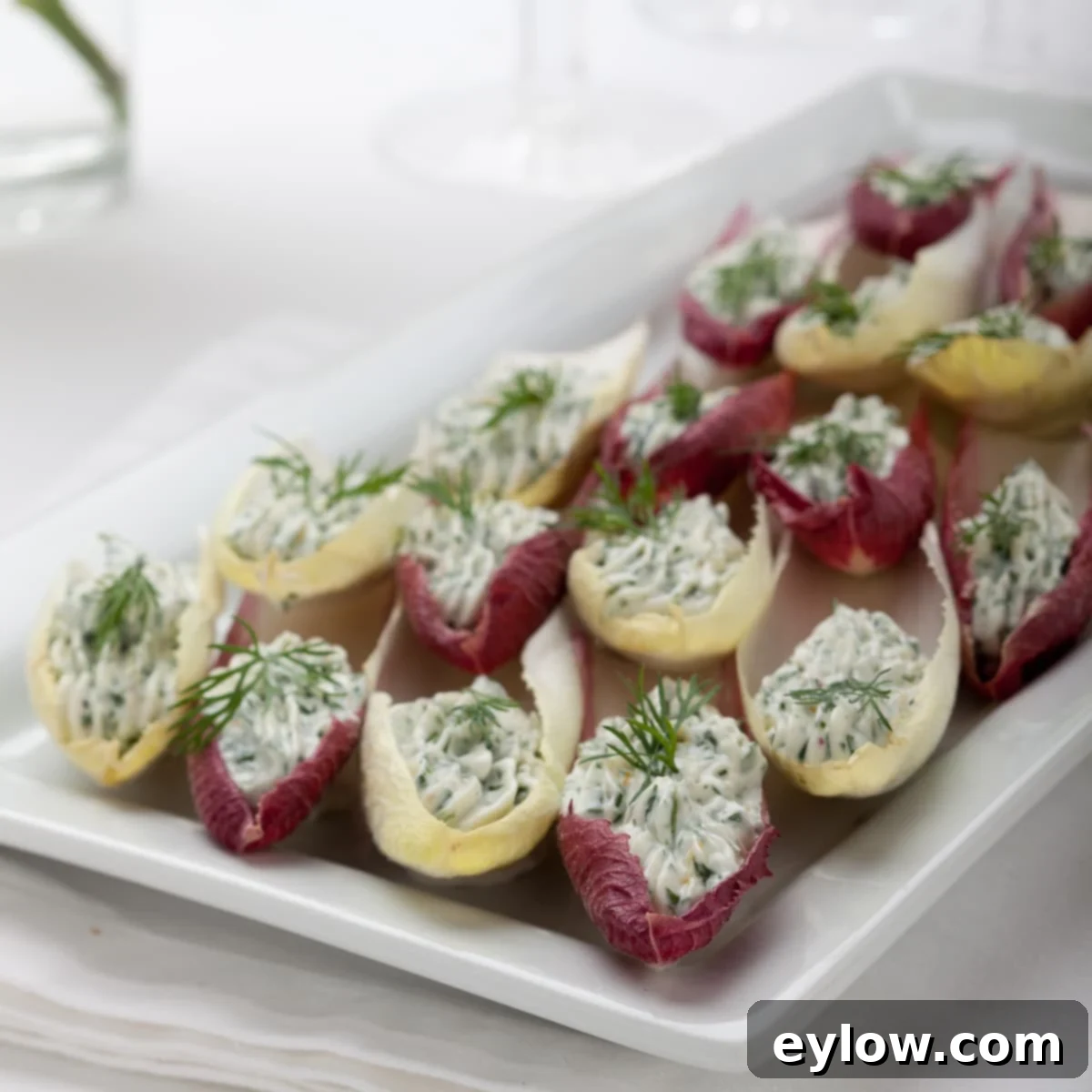 Several vibrant Belgian endive leaves generously stuffed with a creamy, green herbed cream cheese filling, displayed beautifully on a large white platter.