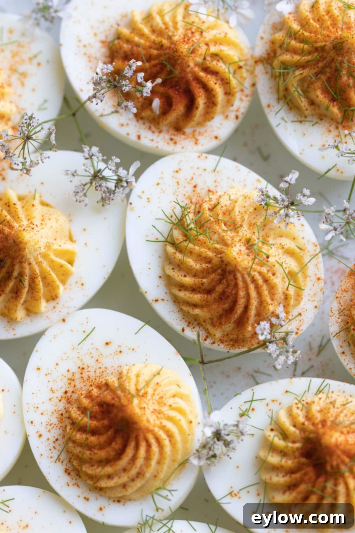 The Ultimate Deviled Eggs 2 Close up of deviled eggs with creamy golden filling sprinkled with rusty red paprika.