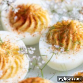 Deviled eggs with paprika | afoodcentriclife.com