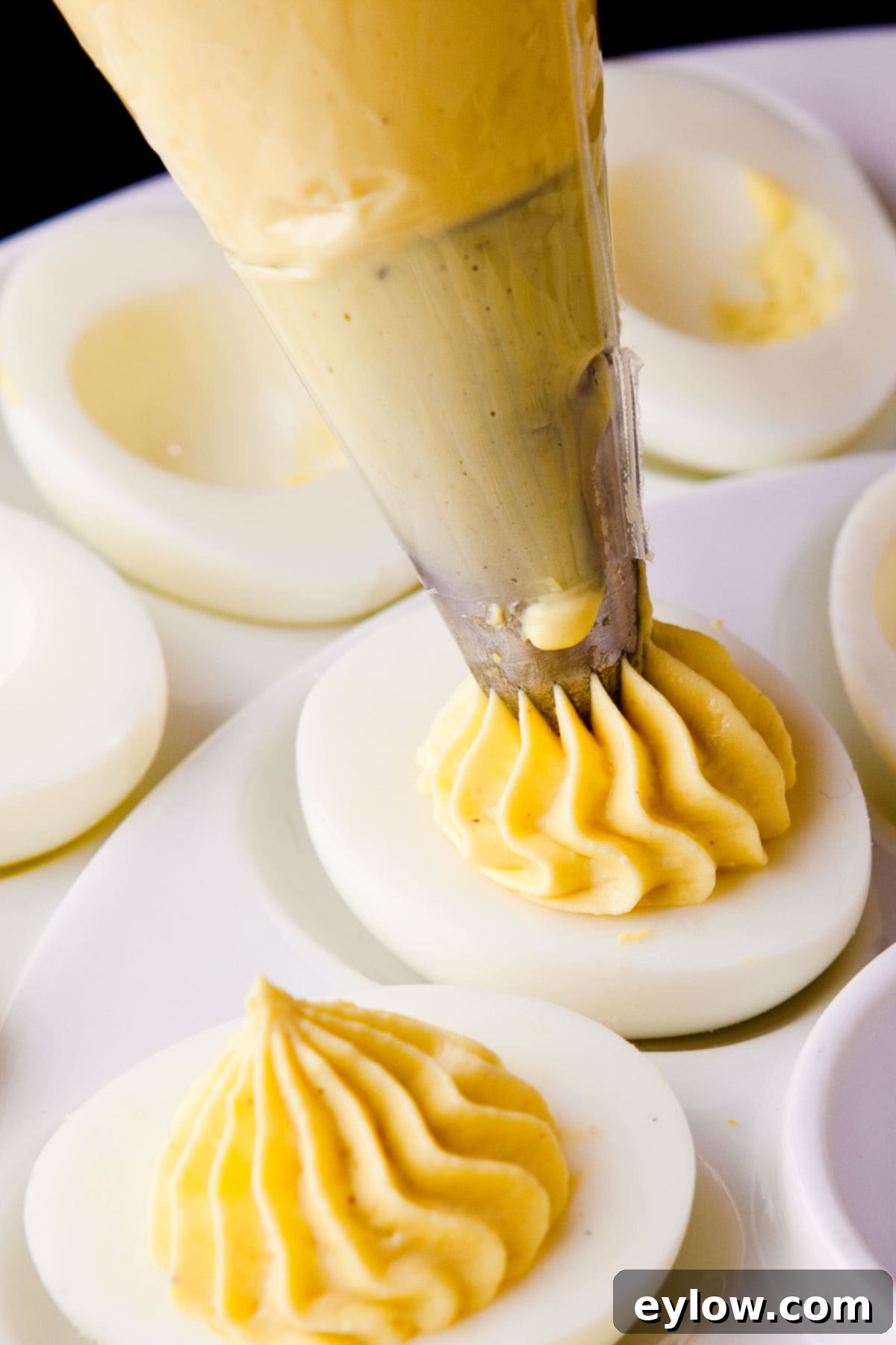 Deveiled Eggs-1761 Piping yellow egg filling into hard boiled egg halves for deviled eggs.