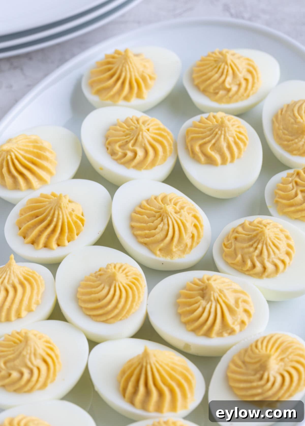 The Ultimate Deviled Eggs 8 A plate of deviled egg halves after piping yellow filling in a decorative pattern.