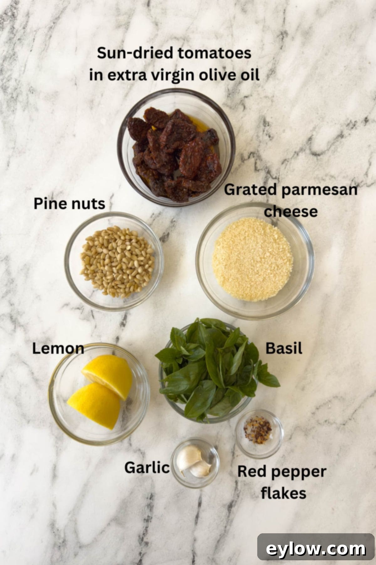 Crimson Sun Pesto 3 Ingredients for pesto rosso or sun-dried tomato pest on the counter.