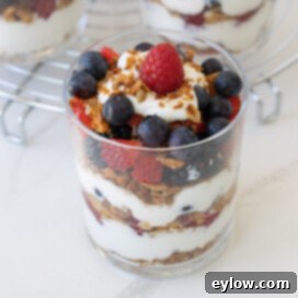 A single yogurt breakfast parfait with layers of fruit, granola, and yogurt.