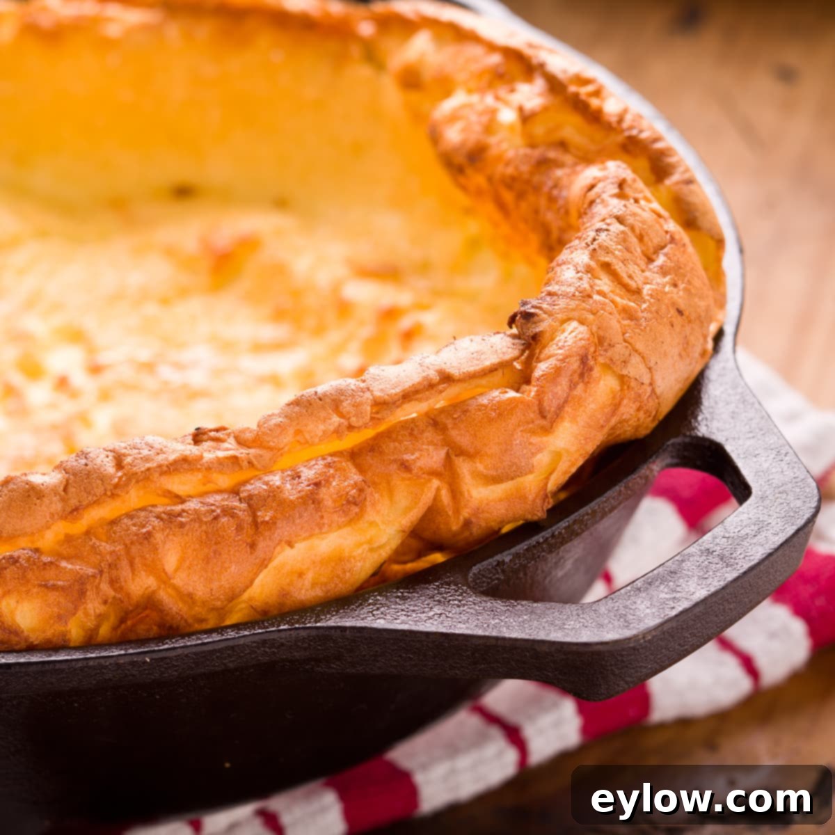 Gluten-Free Dutch Baby German Pancakes 2 Puffed, golden gluten-free Dutch baby pancake fresh out of the oven in a cast iron skillet, ready to be served.