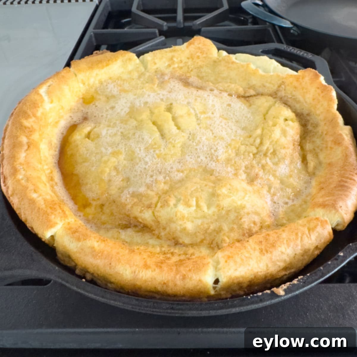 Gluten-Free Dutch Baby German Pancakes 9 Beautifully puffed and golden Dutch pancake sitting on the stovetop, just removed from the oven, ready to be sliced and topped.