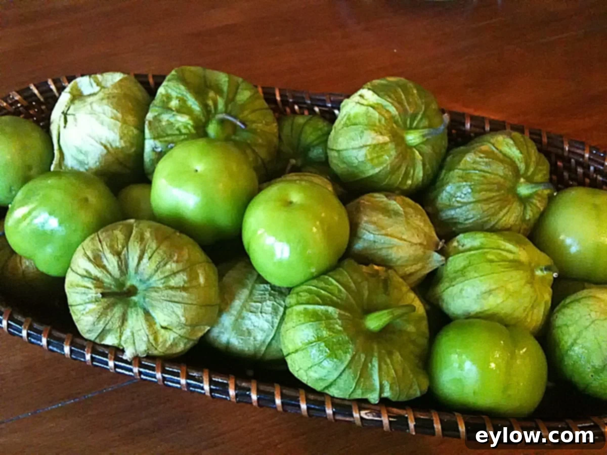 tomatillo- A rustic woven basket overflowing with fresh green tomatillos, showcasing their distinctive papery husks.