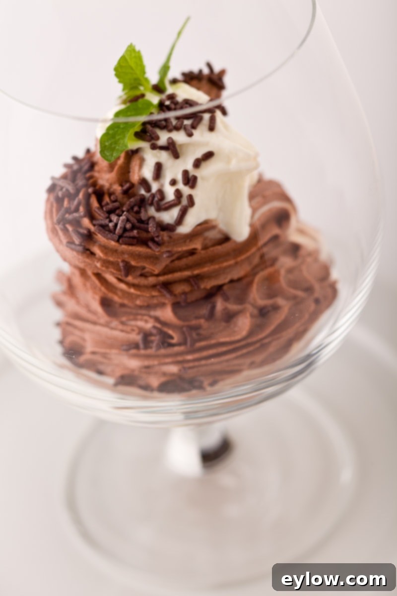 Chocolate Mousse-7960 Elegant chocolate mousse in a stemmed glass, garnished with fresh berries.