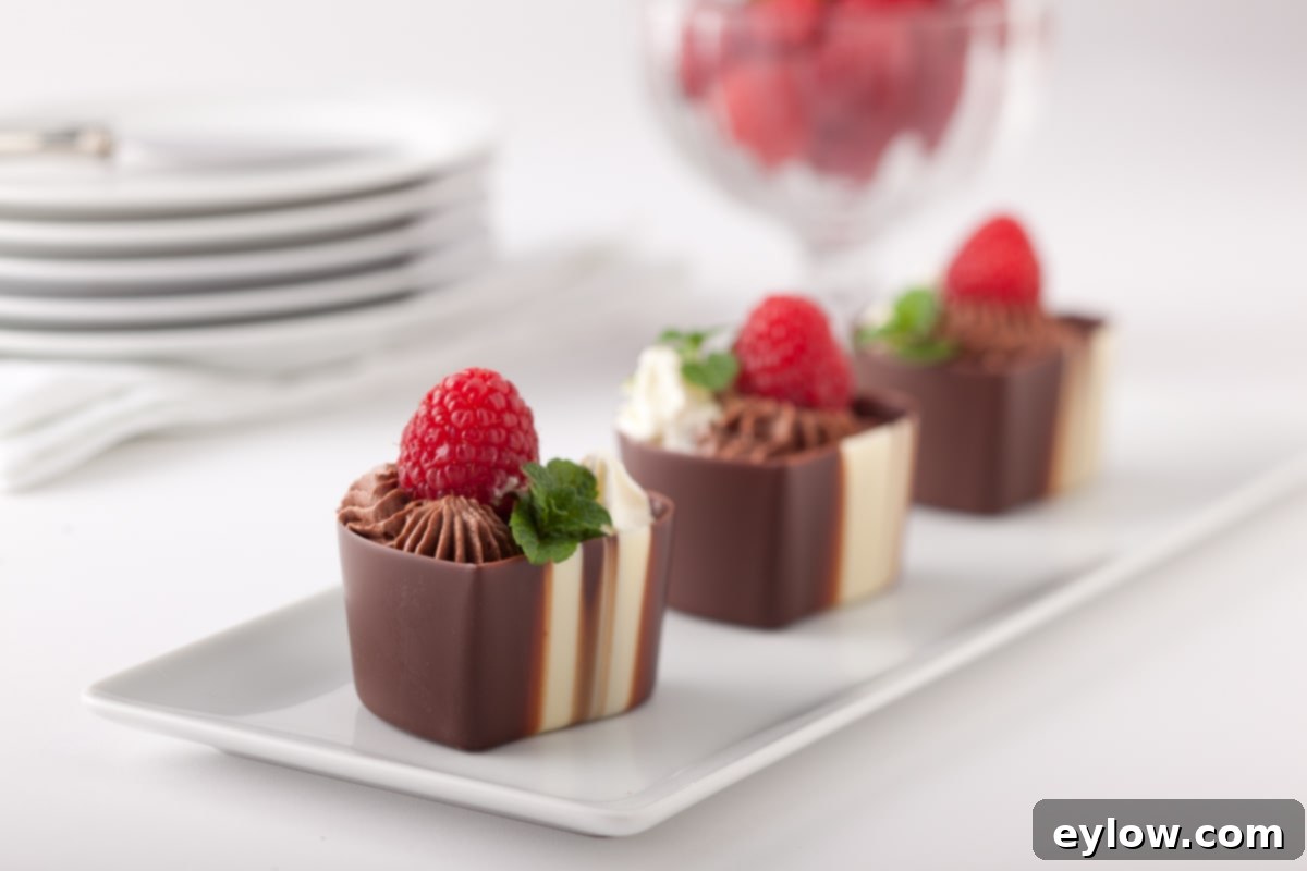 Effortless Eggless Chocolate Mousse 3 A platter of chocolate mousse served in elegant glasses, garnished with fresh fruit.