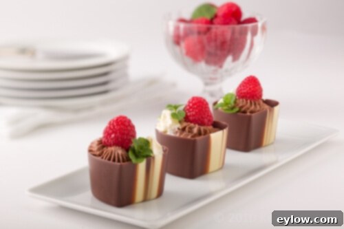 Effortless Eggless Chocolate Mousse 4 chocolate mousse | AFoodCentricLife.com