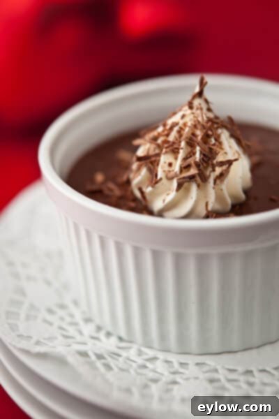 Bittersweet Chocolate Pudding | AFoodCentricLife.com