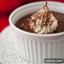 Bittersweet Chocolate Pudding | AFoodCentricLife.com