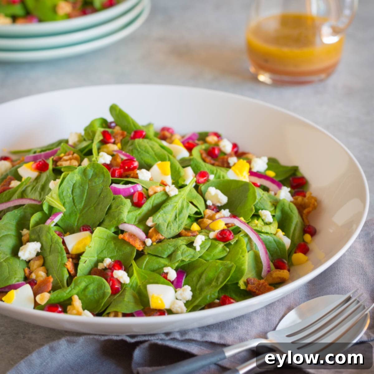 A white bowl of spinach leaves, red onion, hard boiled eggs, crisp bacon crumbles and pomegranate seeds. 