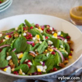 pomegranate spinach salad | AFoodCentricLife.com
