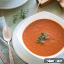 A single bowl of tomato soup with a sprig of rfesh thyme leaves and silver spoon.