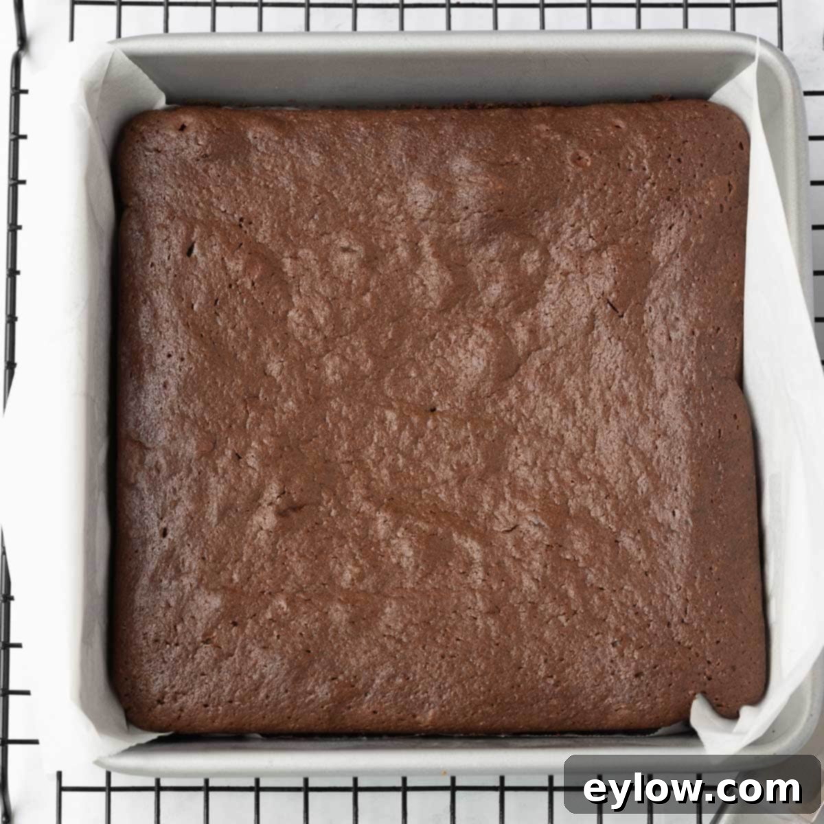 Decadent Fudgy Gluten-Free Chocolate Brownies 9 Freshly baked gluten-free brownies cooling in the square pan before slicing.