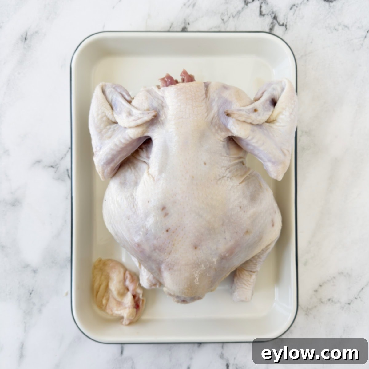 A raw whole chicken turned on its breast side, with wings neatly folded back and tucked under the body, resting on a white tray.