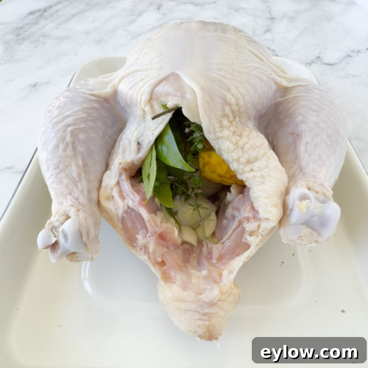 The cavity of a raw whole chicken filled with aromatic ingredients like fresh herbs, a quartered onion, and lemon wedges, ready for roasting.