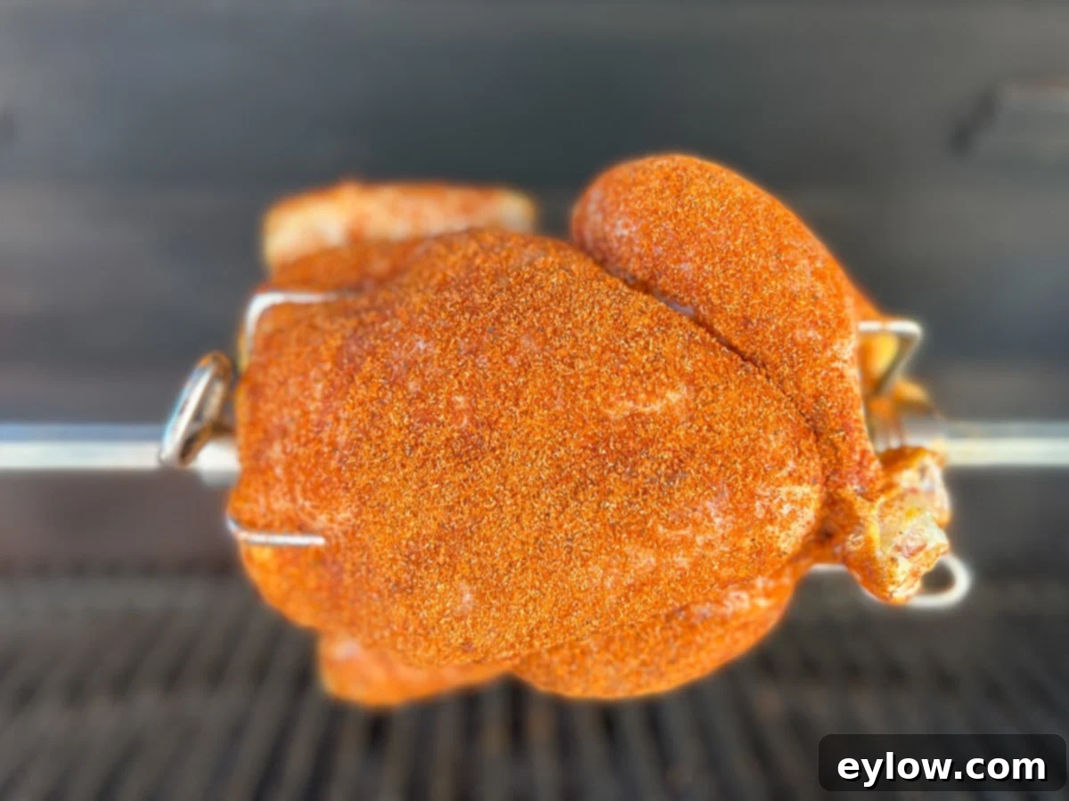 Whole chicken on a rotisserie, beautifully coated in a bright reddish-orange dry rub, showing a rich, even seasoning.