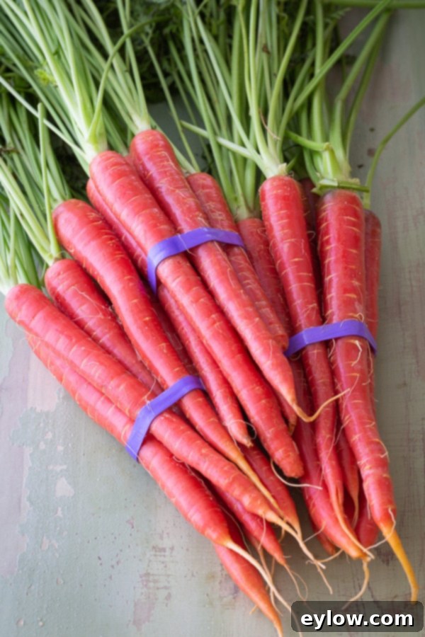 Bundles of fresh, vibrant red carrots, showcasing their rich color and potential for juicing.