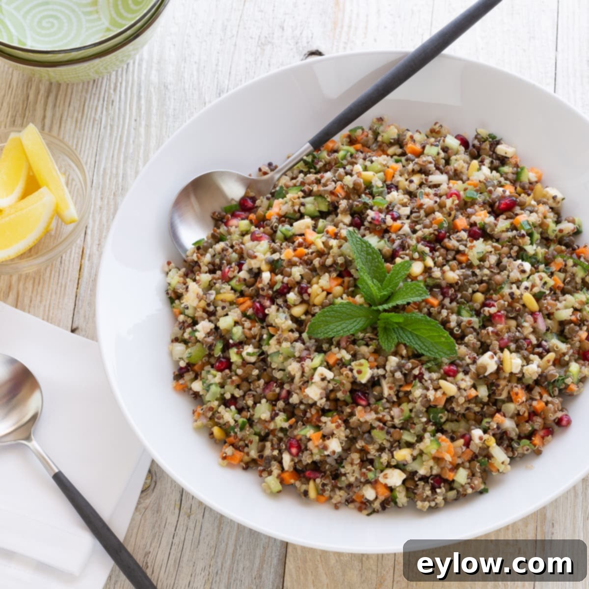 Zesty Lentil Quinoa Bliss 2 A white bowl of lentil quinoa salad garnished with fresh basil leaves, next to a serving spoon, highlighting its vibrant ingredients.