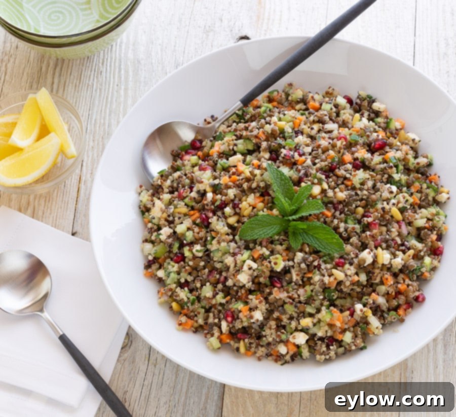 Zesty Lentil Quinoa Bliss 4 Close-up of a bowl of Mediterranean lentil quinoa salad, showcasing its vibrant ingredients and fresh herbs.