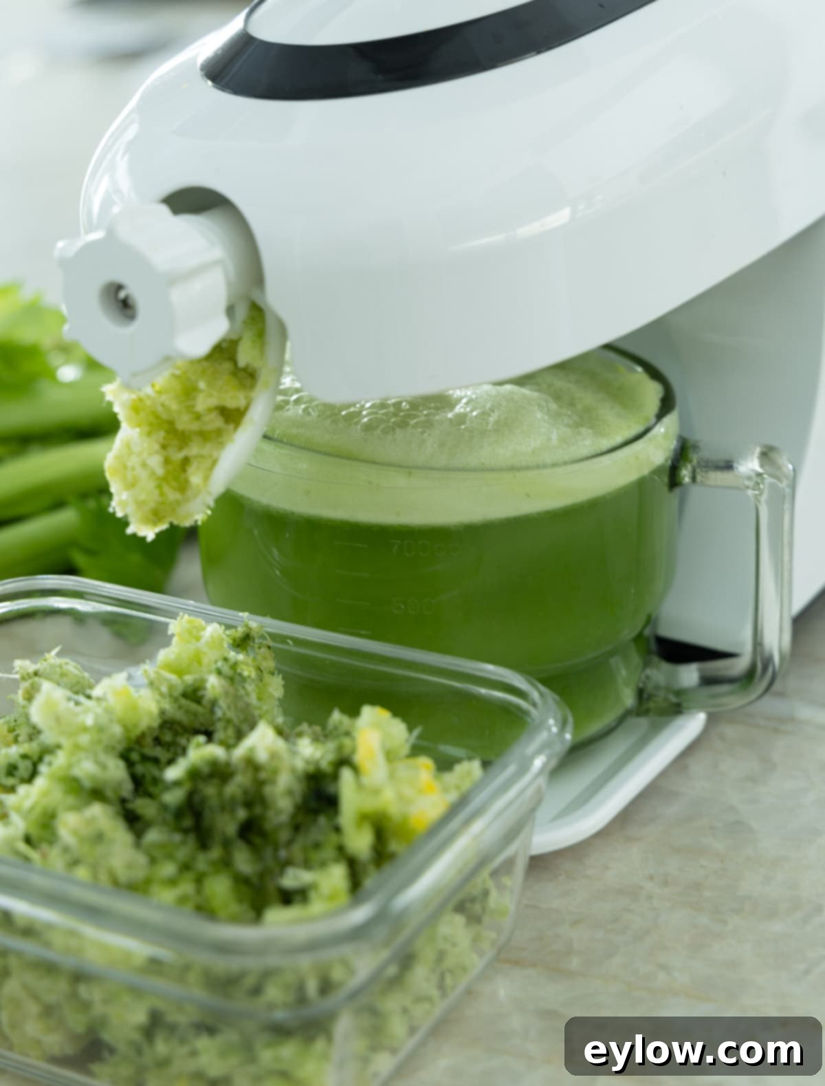A juicer processing green vegetables and fruit into a green juice.