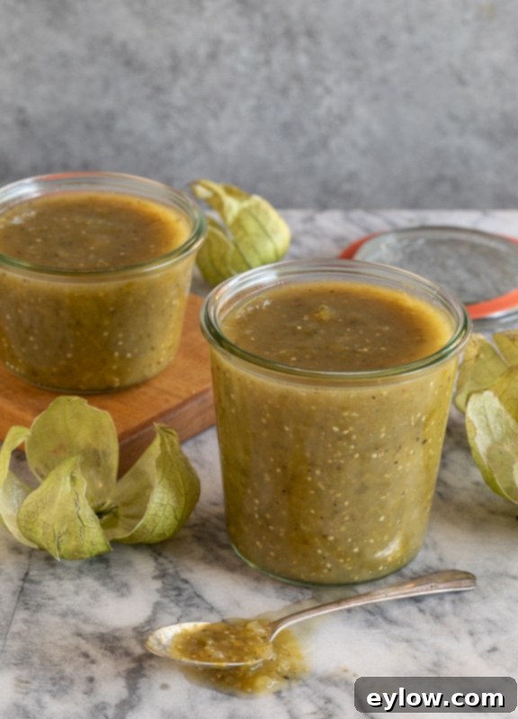 Tomatillo Enchilada Verde 2 Freshly made homemade tomatillo salsa verde in a bowl, ready to serve.