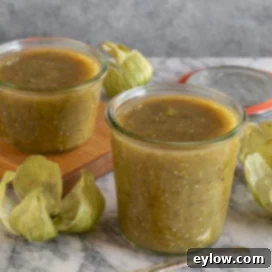 Tomatillo Enchilada Verde 8 tomatillo salsa verde