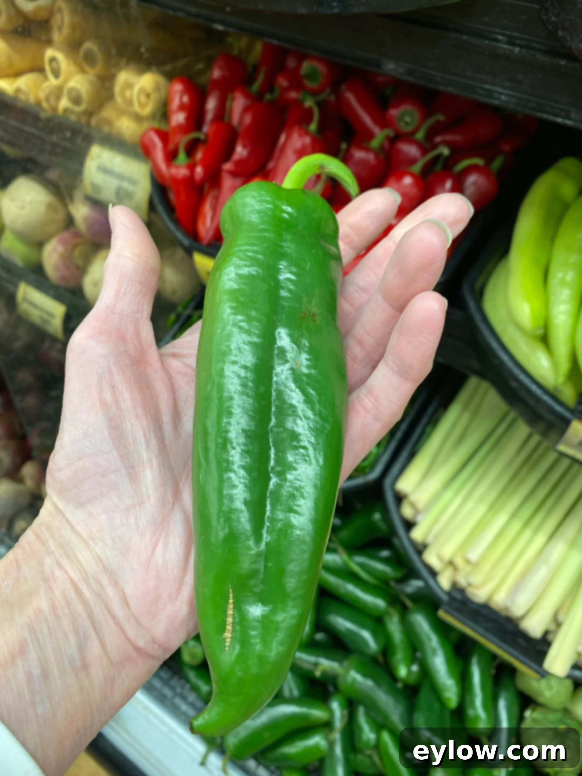 Tomatillo Enchilada Verde 5 Close-up of a vibrant green Anaheim chili pepper.