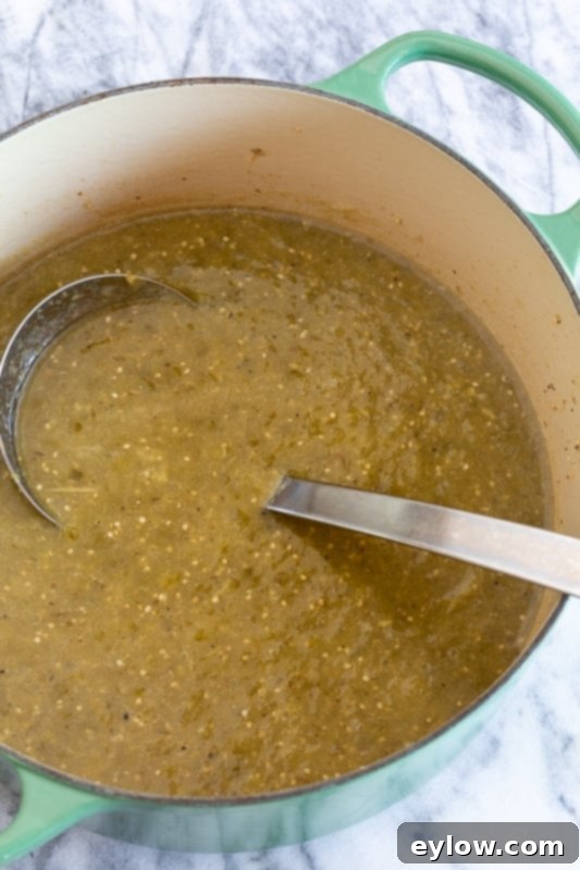 Tomatillo Enchilada Verde 6 A bowl of fresh tomatillo salsa verde garnished with cilantro, ready for serving with chips.