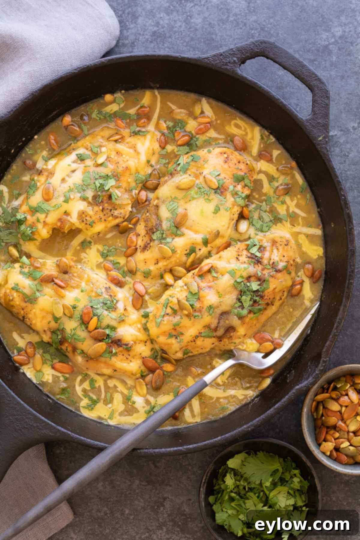 A cast iron pan filled with salsa verde chicken with pumpkin seeds and cilantro, ready to serve.