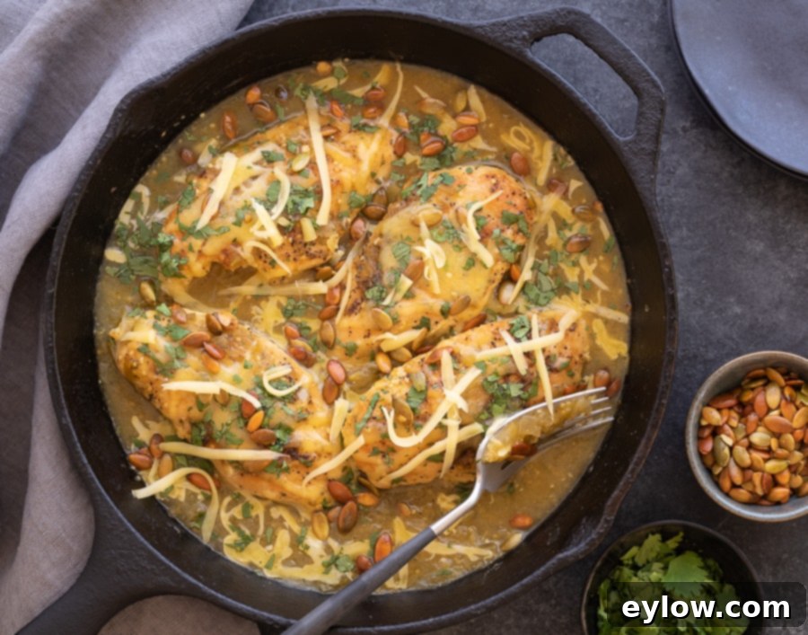 A vibrant platter of salsa verde chicken breasts, garnished with fresh cilantro and pumpkin seeds.