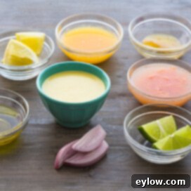 Luscious Mango Sauce 4 Citrus mango sauce