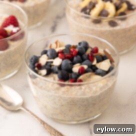 A single bowl of healthy overnight oats with blueberries and pomegranates seeds, beautifully presented.