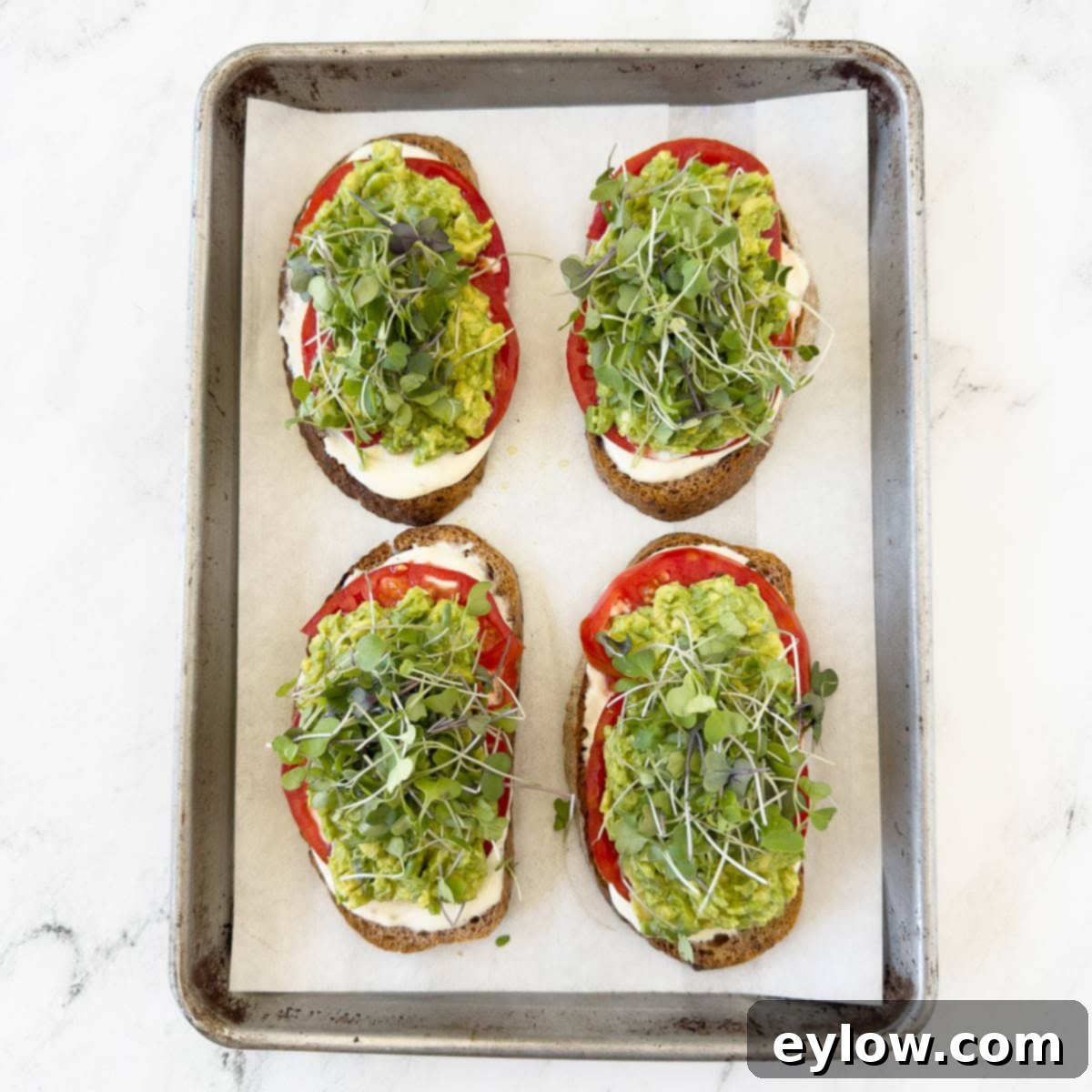 Vibrant Tomato Avocado Toast 7 Finished avocado and tomato toasts complete with a generous layer of microgreens, ready to be enjoyed.