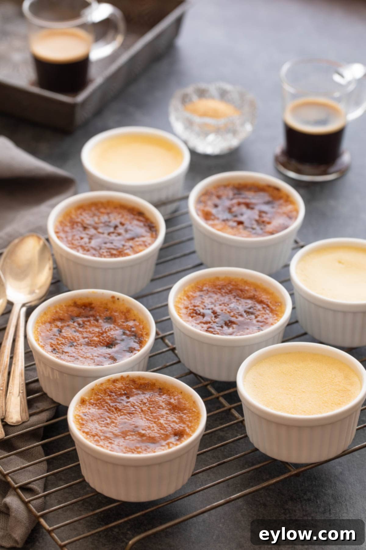 Vanilla creme brulees in white ramekins with burnt sugar tops on a gray table.