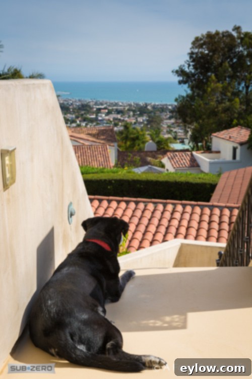 Ocean view of Ventura, CA, as viewed by a black Labrador, Lucky, on the top deck of the house. 