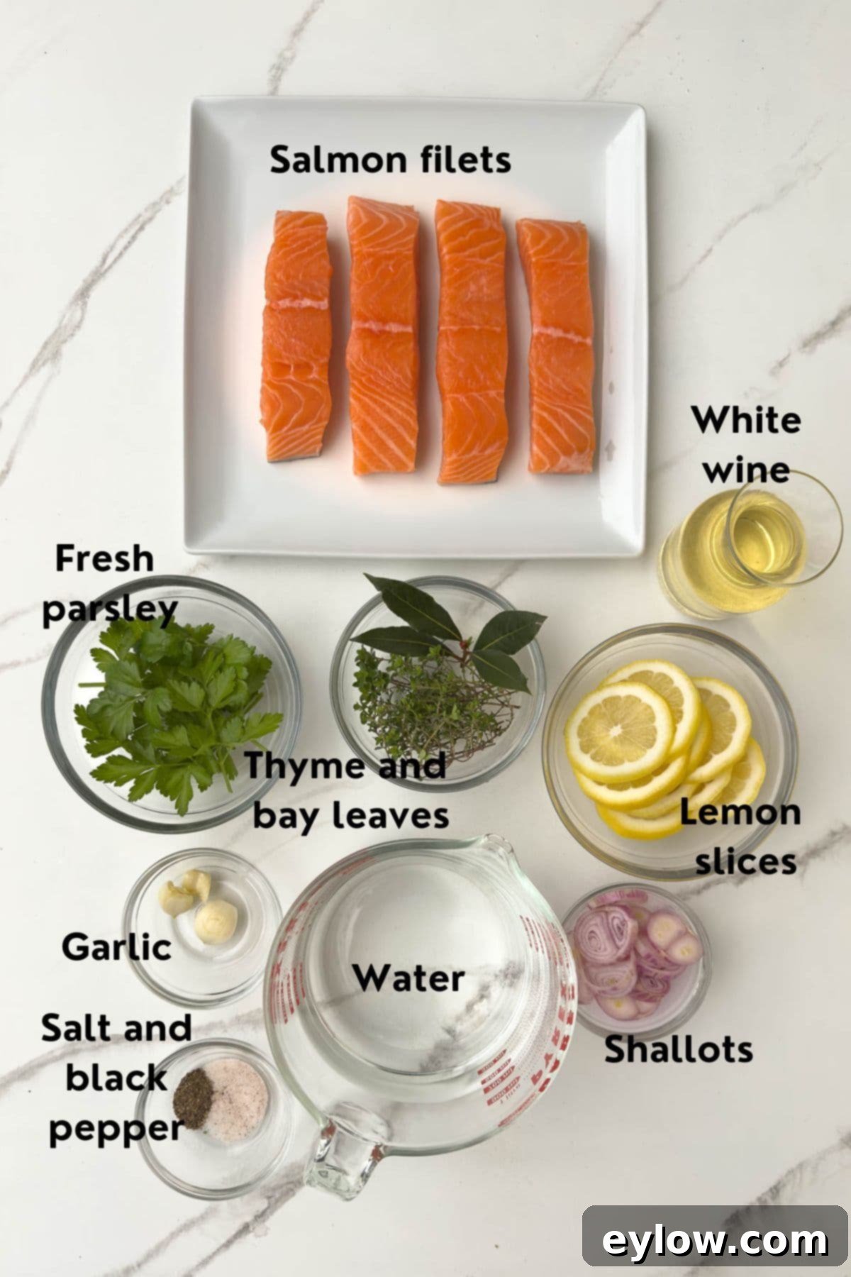 Fresh ingredients for steamed salmon laid out on a kitchen counter, including raw salmon fillets, sliced lemons, fresh herbs like parsley and thyme, garlic cloves, and a shallot.