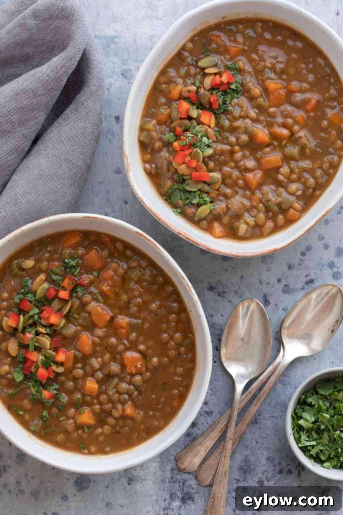 Lentil soup with vegetables in bowls with spoons and parsley. A warm, inviting dish perfect for cold weather.
