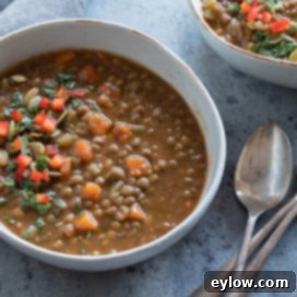 Instant Pot Vegetable Lentil Soup | afoodcentriclife.com
