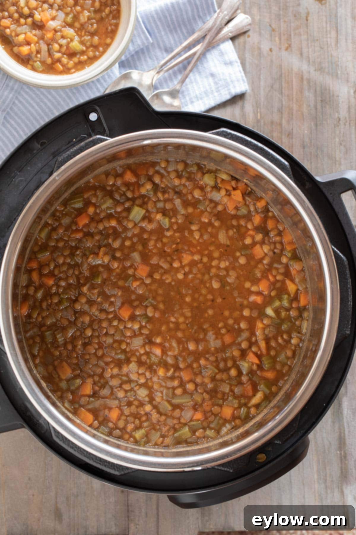 A pot of finished lentil soup ready to enjoy, garnished with fresh herbs.