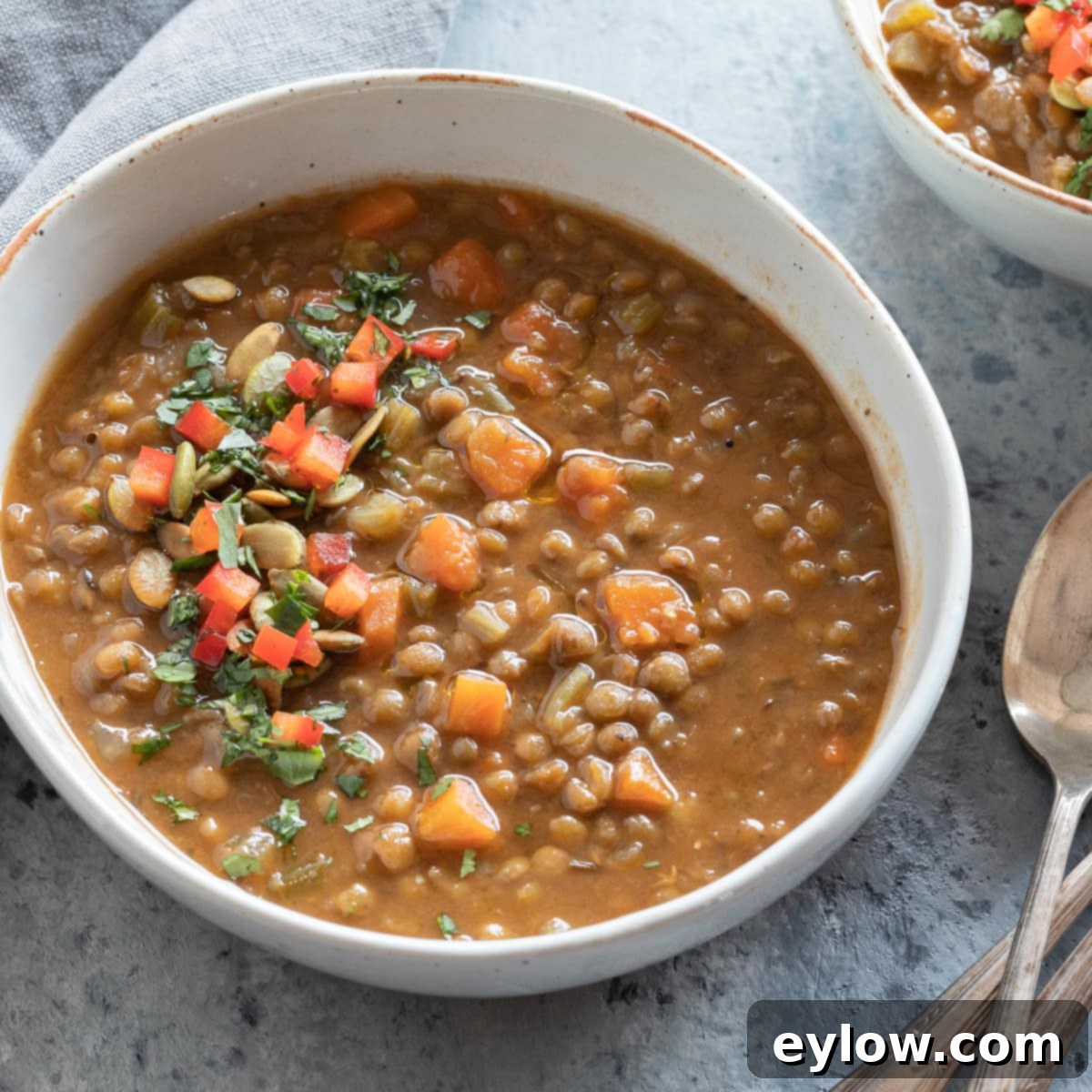 A bowl of earthy, hearty lentil soup with vegetables and fresh garnishes, ready to be enjoyed.