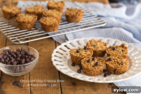 A plate of homemade chocolate chip granola bites ready to be enjoyed.