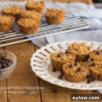 Chocolate Chip Granola Bites - a portable and delicious healthy snack.