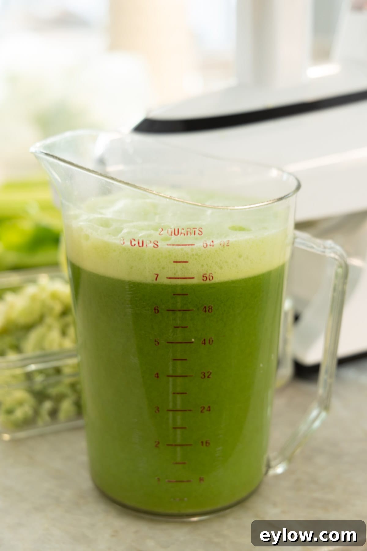 Crisp Green Elixir 7 A large pitcher with a batch of fresh green vegetable juice.