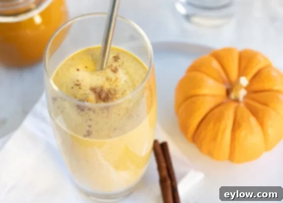 Wholesome Pumpkin Fix in Minutes 7 Golden orange pumpkin smoothie in a glass with cinnamon sprinkled on top.