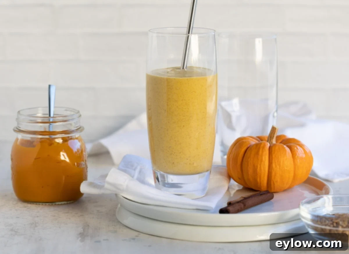 Wholesome Pumpkin Fix in Minutes 8 Pumpkin pie smoothie on the counter with a mini pumpkin and jar of pumpkin puree.