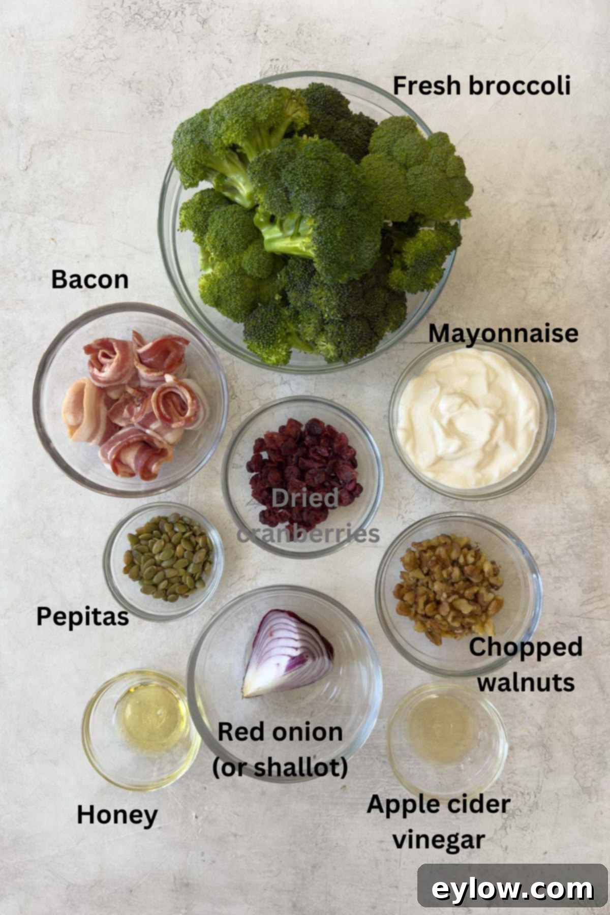 A vibrant selection of fresh ingredients for broccoli salad, including broccoli florets, bacon, dried cranberries, walnuts, and red onion.